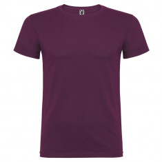 Tricou barbati Beagle T-Shirt purple CA6554PURPLE foto