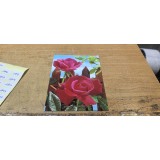 Carte Postala #A8003han