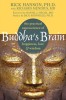 Buddha&#039;s Brain: The Practical Neuroscience of Happiness, Love &amp; Wisdom