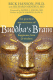 Buddha&#039;s Brain: The Practical Neuroscience of Happiness, Love &amp; Wisdom