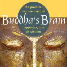 Buddha's Brain: The Practical Neuroscience of Happiness, Love & Wisdom