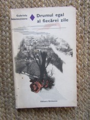 Drumul egal al fiecarei zile &ndash; Gabriela Adamesteanu - Carte Beletristica