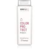 Framesi Morphosis Color Protect Șampon pentru păr normal și subțire pentru protecția culorii 250 ml