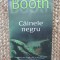 STEPHEN BOOTH - Cainele negru