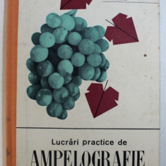 LUCRARI PRACTICE DE AMPELOGRAFIE de V . DVORNIC , 1965 ,