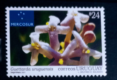 Uruguay 2001 flora,plante, iasomie serie 1V. MNH foto