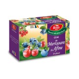 Ceai de merisoare si afine, 20 de plicuri, Fares