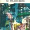 Declin si prabusire