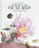 Aventurile unui fir de nisip - Editura Signatura