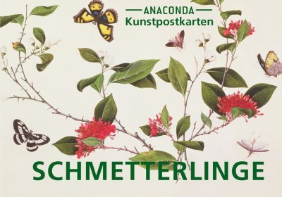 Postkarten-Set Schmetterlinge foto