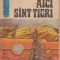 Aici sint tigri