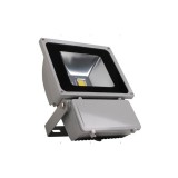 Proiector LED 100W YIYI , aprindere instantanee, Universal