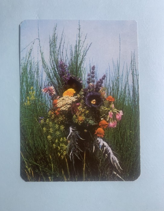 Calendar 1979 trustul Plafar