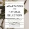 Adaptation and Natural Selection: A Critique of Some Current Evolutionary Thought