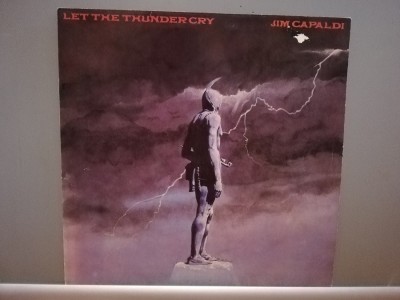 Jim Capaldi (Traffic family) &amp;ndash; Let The Thunder cry (1981/EMI/RFG) - Vinil/NM+ foto