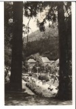 CPIB 18099 CARTE POSTALA - VEDERE DIN SLANIC MOLDOVA