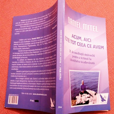 Acum, aici este tot ceea ce avem. Editura For You, 2014 - Daniel Mitel