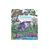 Animals Magic Painting Book