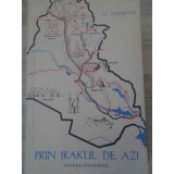 PRIN IRAKUL DE AZI-AL. GHEORGHIU-229187