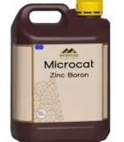 Ingrasamant Microcat Zn-B 5 l