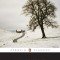 Wallace Stegner: Collected Stories