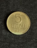 5 bani 1955 RPR