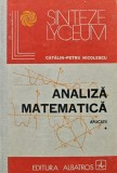 Analiza matematica. Aplicatii (volumul 1) - 1987 - Catalin Petru Nicolescu (AK215)
