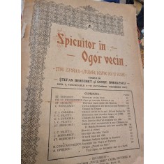 Spicuitor in Ogor Vecin