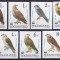 DB1 Ungaria 1983 Fauna WWF Pasari Rapitoare 7 v. NDT MNH