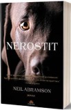 Nerostit - Neil Abramson