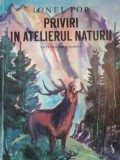 PRIVIRI IN ATELIERUL NATURII de IONEL POP