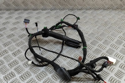 Cablaj ușă st&amp;acirc;nga spate AUDI E-TRON GT 2023 OEM: 4J3971687G 31453959 foto