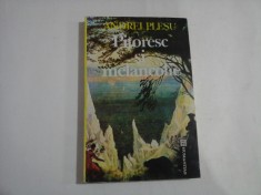 Pitoresc si melancolie. O analiza a sentimentului naturii in cultura europeana - Andrei PLESU