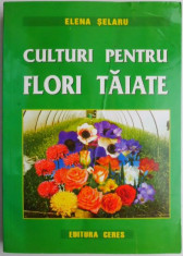 Culturi pentru flori taiate &amp;ndash; Elena Selaru foto