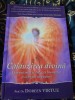 Calauzirea Divina de la Ingeri - Doreen Virtue, Carte RARA, Editie Colectie, Spiritualitate, Dialog Ingeri Pazitori, 2010