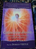 RARA, colectie Doreen Virtue - Calauzirea divina de la ingeri