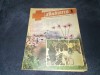 REVISTA SANATATEA NR 5 1990