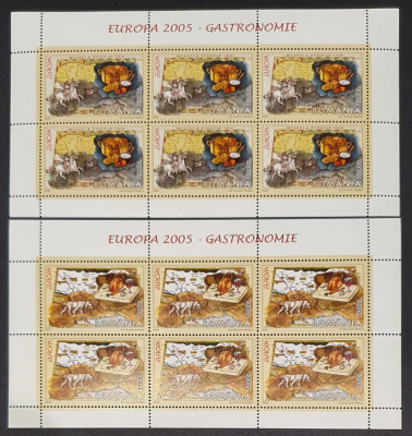 LP 1683b - EUROPA 2005 - Gastronomie, coli de 6 timbre - 2 buc foto