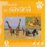Animalele din savana
