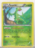 Bnk crc Cartonas Pokemon 2015 Sceptile 8/160 holo