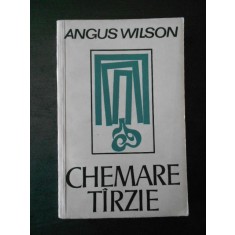 AUGUS WILSON - CHEMARE TARZIE