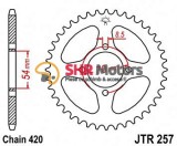 Pinion spate 420 42 Dinti JTR257.42