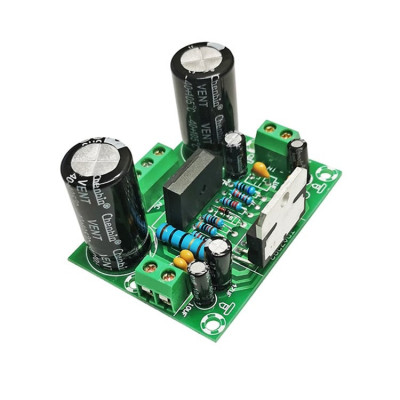 Amplificator mono HiFi 100W cu TDA7293 12-32 VAC OKY3462-7 foto