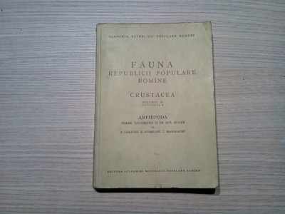 FAUNA R. P. R. Vol. IV, Fasc. 4, CRUSTACEA - AMPHIPODA - S. Carausu -1955, 407p foto