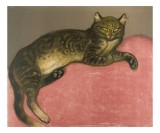 Tablou Canvas, "Pisica torc&acirc;nd pe perna roz", Pisică, Relaxare, Culoare, Textură, Blană, Privire, Odihnă, Canapea, Calm, Detalii, 39 x 26 cm, CMCLASS