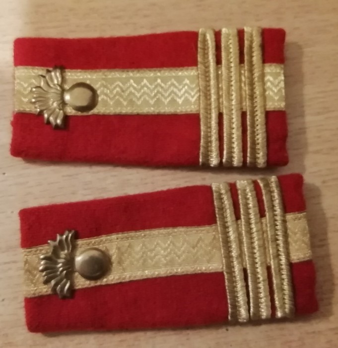 M3 C5 - Grade militare - post 89 - colonel infanterie 4