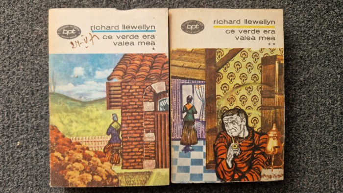 CE VERDE ERA VALEA MEA - Richard Llewellyn (2 volume BPT)