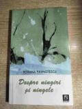 Roxana Pavnotescu - Despre ningiri si ningele (Editura Niculescu, 2005)