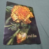 Cumpara ieftin CARTE POSTALA FELICITARE CIRCULATA