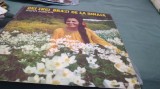 DISC VINIL IRINA LOGHIN -CEI TREI BRAZI DE LA SINAIA -EPE 01005-DISC STARE FOARTE BUNA CHIAR EXCELENT